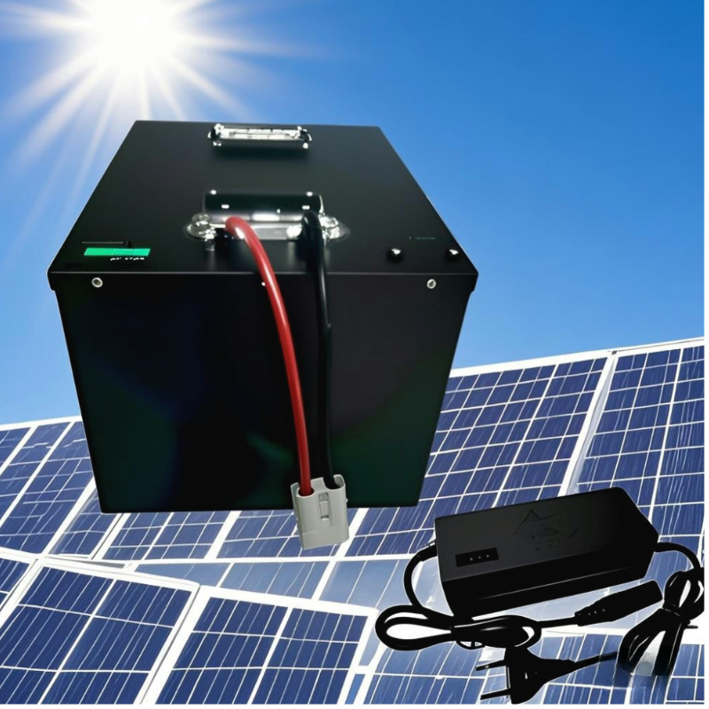 72V 100Ah LiFePO4 Deep Cycle L - огляд і ціна 72V 40Ah Lifepo4 Battery Pack