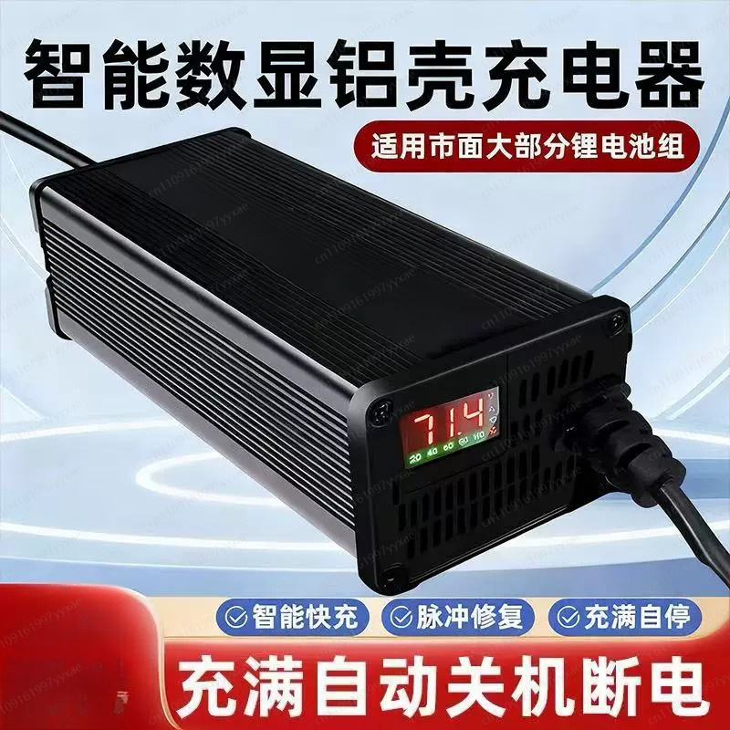 48V 60V 72V Smart LiFePO4 Li-i - огляд і ціна 72V 15A Fast Charger